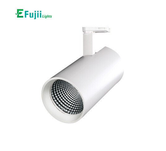 efujii-A216