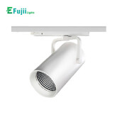 efujii-A389