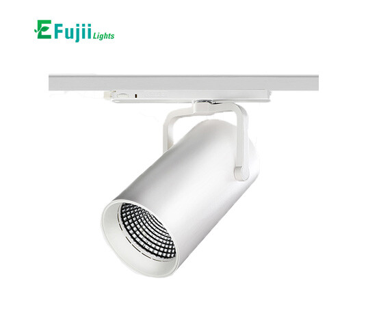 efujii-A389