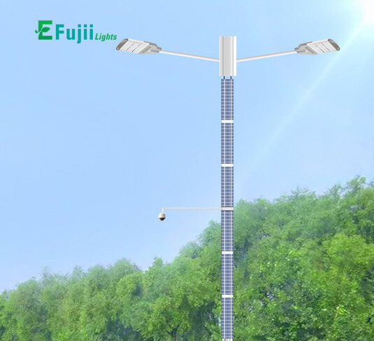 efujii-den-canh-quan-san-vuon-04