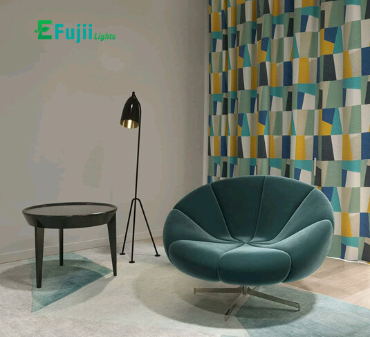 efujii-den-dung01