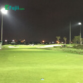 efujii-den-san-gold03