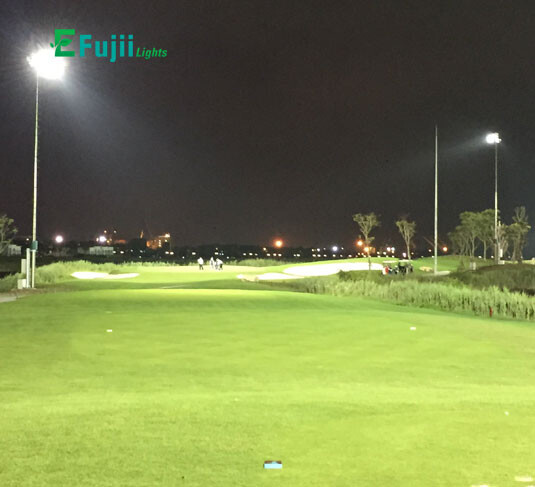 efujii-den-san-gold03