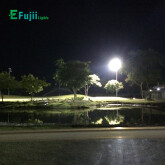 efujii-den-san-gold04