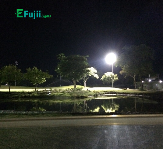 efujii-den-san-gold04