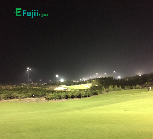 efujii-den-san-gold05