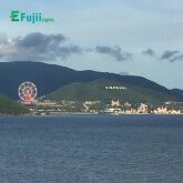 efujii-den-san-gold06