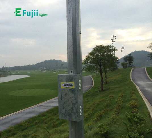 efujii-den-san-gold09