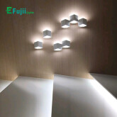 efujii-den-tuong-1