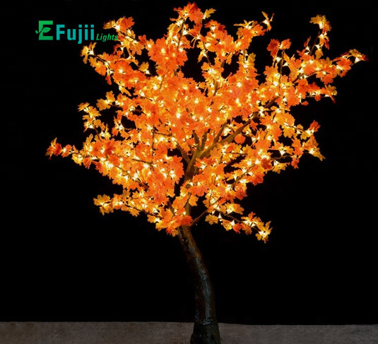 efujii-ef-ctt05