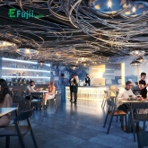 efujii-thiet-ke-theo-yc05