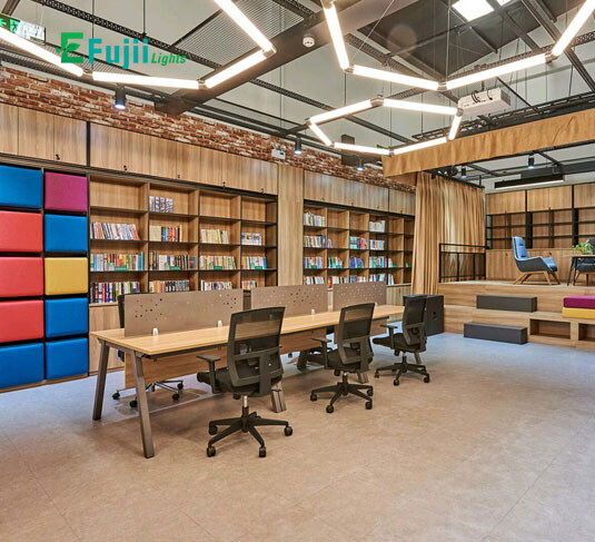 efujii-thiet-ke-theo-yc06